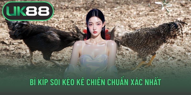 Bí kíp soi kèo kê chiến chuẩn xác nhất