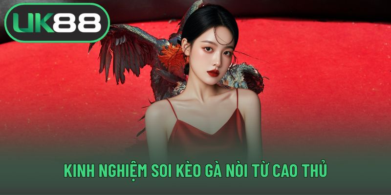 Kinh nghiệm soi kèo gà nòi từ cao thủ