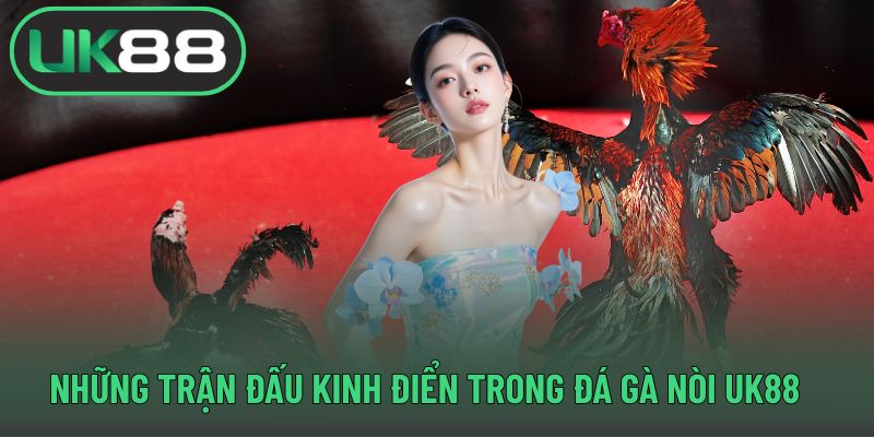 Những trận đấu kinh điển trong đá gà nòi UK88