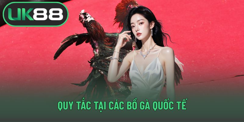Quy tắc tại các bồ gà quốc tế