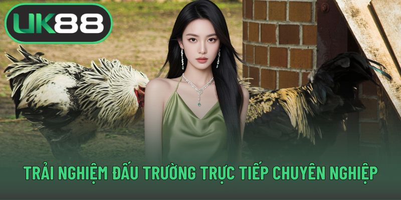 Trải nghiệm đấu trường trực tiếp chuyên nghiệp
